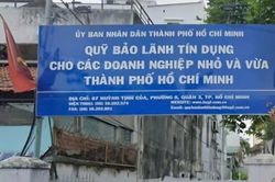TP. Hồ Chí Minh: Điều kiện nào để doanh nghiệp vừa và nhỏ được bảo lãnh tín dụng?