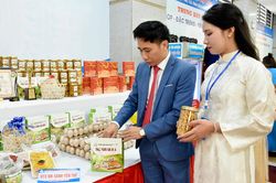 Nỗ lực tìm chỗ đứng cho thương hiệu gà đồi Yên Thế