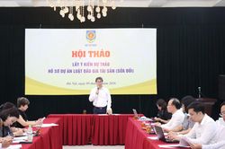 Mở rộng tiêu chuẩn được trở thành đấu giá viên