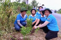 Phụ nữ Cà Mau lan tỏa lối sống xanh