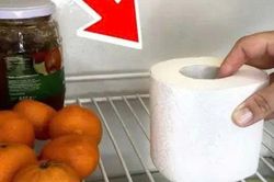 Đặt một cuộn giấy vệ sinh trong tủ lạnh: Chúng có 2 công dụng nhà nào cũng cần dùng đến