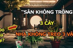 Người xưa dặn: 'Trước sân không trồng 3 cây, trong nhà không treo 3 vật', chớ có làm sai