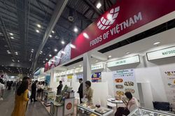 Doanh nghiệp Việt đưa thực phẩm chế biến sâu tới Seoul Food 2026