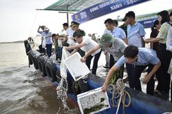 Hưng Yên chung tay làm sạch biển, tái tạo nguồn lợi thủy sản