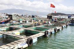 Đắk Lắk đẩy mạnh sử dụng dữ liệu số trong lĩnh vực thủy sản thay thế giấy tờ hành chính