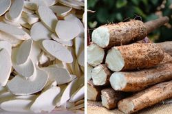 Tác dụng của củ hoài sơn tươi với sức khỏe