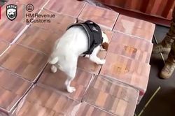 Ba Lan thu giữ hơn 1 tấn heroin trong vụ triệt phá ma túy lớn nhất