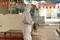 Xã Ngọc Hồi đồng loạt phun khử trùng, tiêu độc phòng, chống dịch bệnh