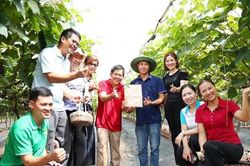 Phát triển chuỗi cung ứng nông nghiệp bền vững nhìn từ Hợp tác xã Hà Nội Xanh