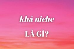 'Khá niche' là trào lưu gì mà đang được giới trẻ sử dụng khắp mạng xã hội?