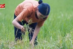 Hà Nội hỗ trợ 100% mức đóng BHXH tự nguyện cho hộ nghèo, cận nghèo