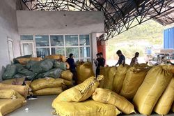 Bảo vệ quyền sở hữu tr&iacute; tuệ tại bi&ecirc;n giới