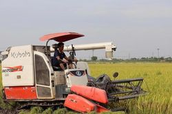 Tăng hiệu quả sản xuất và giảm phát thải cho canh tác lúa đồng bằng sông Hồng