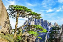 Di sản ba lần được UNESCO vinh danh dùng công nghệ phát triển du lịch bền vững