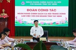 Đẩy mạnh tín dụng chính sách xã hội, góp phần phát triển kinh tế-xã hội tại Tây Ninh