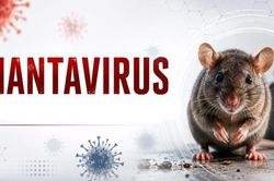 Nhận biết sớm bệnh do virus Hanta để tránh suy hô hấp, tổn thương thận