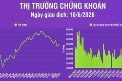 [Infographic] Chứng khoán ngày 10/6: VN-Index tăng 10,66 điểm, khối lượng giao dịch khớp lệnh tăng 8,3%