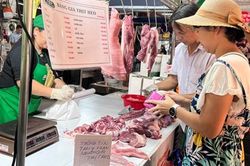 TP HCM: Thịt heo 'Tick xanh' vào chợ truyền thống