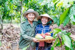 Ca cao Việt chinh phục thị trường quốc tế