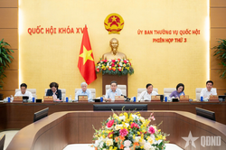 Cử tri và nhân dân phấn khởi trước việc điều chỉnh tăng lương cơ sở, lương hưu và trợ cấp bảo hiểm xã hội