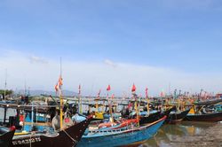 Đề xuất xây dựng cơ chế xử lý hiệu quả vi phạm IUU trong Luật Đô thị đặc biệt