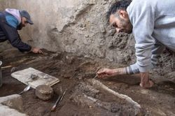 Giải mã hai bộ xương động vật ở Pompeii hé lộ cái chết bi thảm