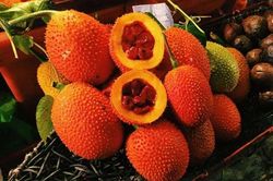 Hạt gấc bất ngờ được thu mua giá cao nhờ công dụng ít ai ngờ