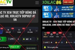 Bảo vệ bản quyền để nuôi dưỡng hệ sinh thái sáng tạo
