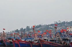 Số hóa nghề cá trên hành trình gỡ 'thẻ vàng' IUU