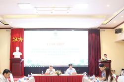 Xây dựng quy định kỹ thuật trình bày văn bản hợp nhất để 'cầm tay chỉ việc' cho cán bộ cơ sở