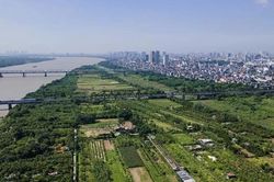 Chủ tịch H&agrave; Nội Vũ Đại Thắng: To&agrave;n bộ c&aacute;c nghị quyết triển khai Luật Thủ đ&ocirc; phải được ho&agrave;n thiện trước 15/6