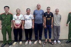 Khởi tố 5 đối tượng săn bắt, mua bán voọc bạc ở Phú Quốc