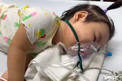 Bé gái gần 2 tuổi mắc bệnh hiểm nghèo nguy kịch, chờ phép màu ghép tế bào gốc