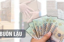 'Trùm' buôn lậu tuồn hơn 425 tấn cau khô trị giá 44 tỷ đồng qua biên giới