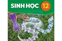 Đừng sa đà vào câu khó, những lưu ý mấu chốt để không 'mất điểm oan' môn Sinh học