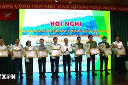 Thành phố Hồ Chí Minh siết quản lý tàu cá, tăng tốc chống khai thác IUU