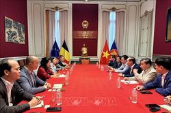 Trí thức Việt Nam tại Bỉ, Luxembourg sẵn sàng đồng hành cùng Huế trên hành trình phát triển