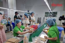 Từ mua sắm xanh đến phát triển bền vững qua nền tảng số
