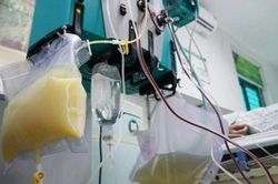 Người phụ nữ 27 tuổi 'máu trắng như sữa', bác sĩ điểm mặt chỉ tên thói quen ăn uống 'cực độc'