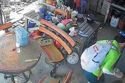 Vừa bước ra sân, người phụ nữ hoảng loạn phát hiện đang dẫm lên rắn hổ mang