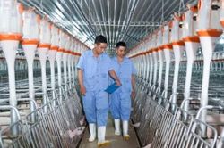 BAF Việt Nam bị phạt hơn 820 triệu đồng