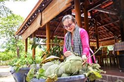 Tây Ninh biến dâu tằm, dưa lưới thành mỏ vàng hút khách