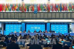 FAO: Việt Nam là ví dụ tiêu biểu trong việc triển khai hiệu quả hợp tác Nam - Nam