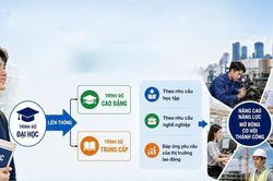 'Liên thông ngược' tạo cơ hội học tập linh hoạt cho người học