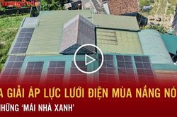 Hóa giải áp lực lưới điện mùa nắng nóng từ những 'mái nhà xanh'