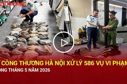 Sở Công Thương Hà Nội xử lý 586 vụ vi phạm trong tháng 5 năm 2026