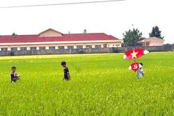 Cho con về quê đón hè
