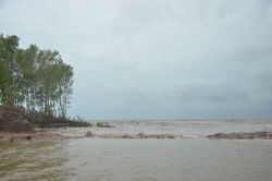 An Giang chủ động ứng phó vùng áp thấp trên biển