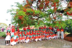 Mùa hè từ những địa chỉ đỏ