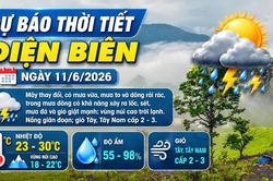 Bản tin Dự báo thời tiết ngày 11/6/2026